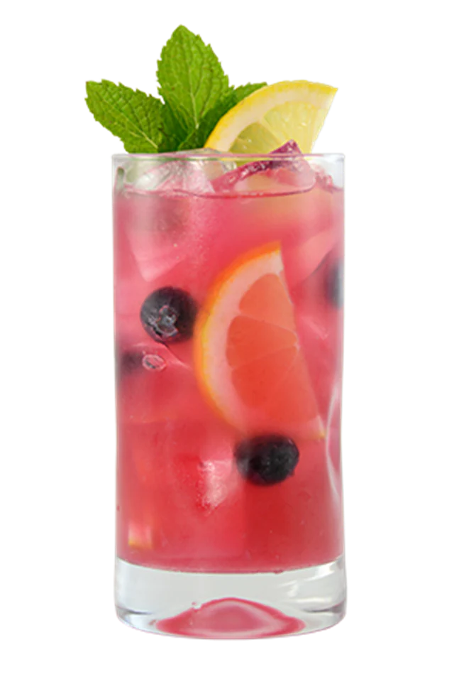 Blueberry Hibiscus Lemonade