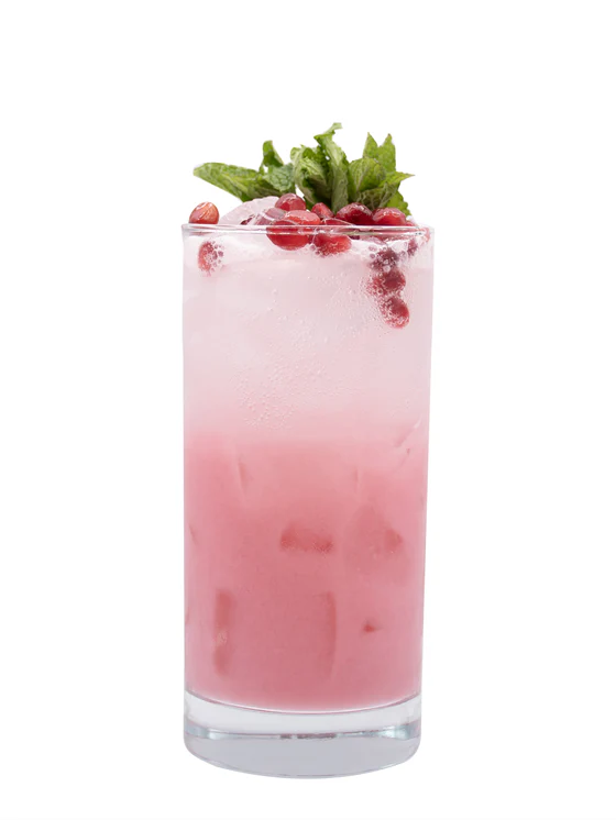Coco Christmas Mojito