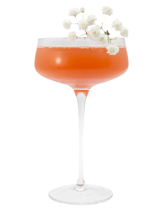 Elderberry Fizz