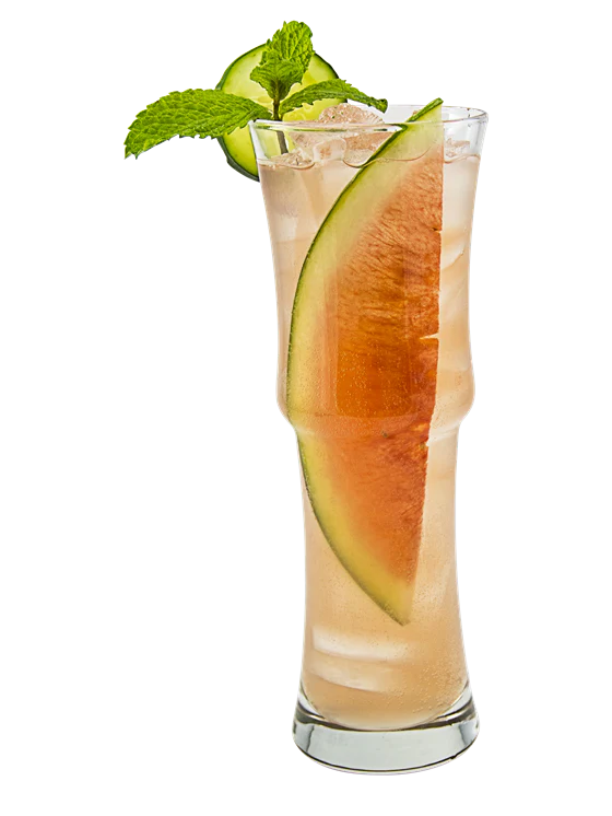 Fresh Watermelon Collins