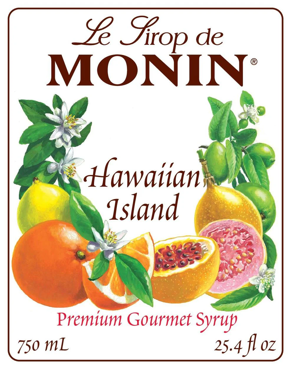 Hawaiian Island Syrup - Image 2
