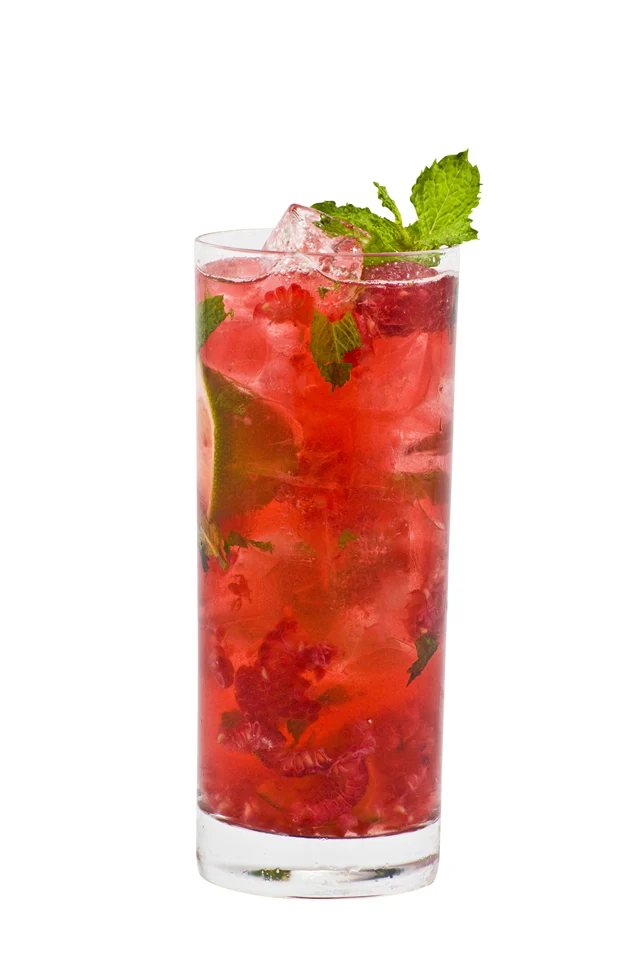 Raspberry Hibiscus Zero Proof Mojito