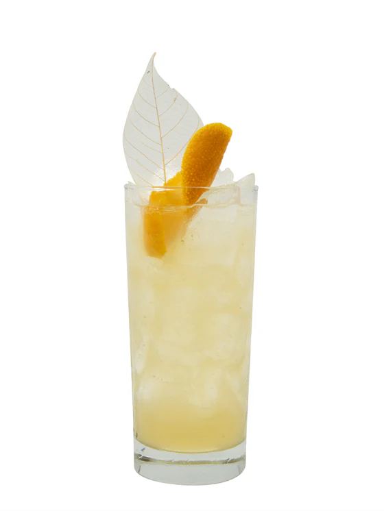Thanksgiving Spiritless Punch