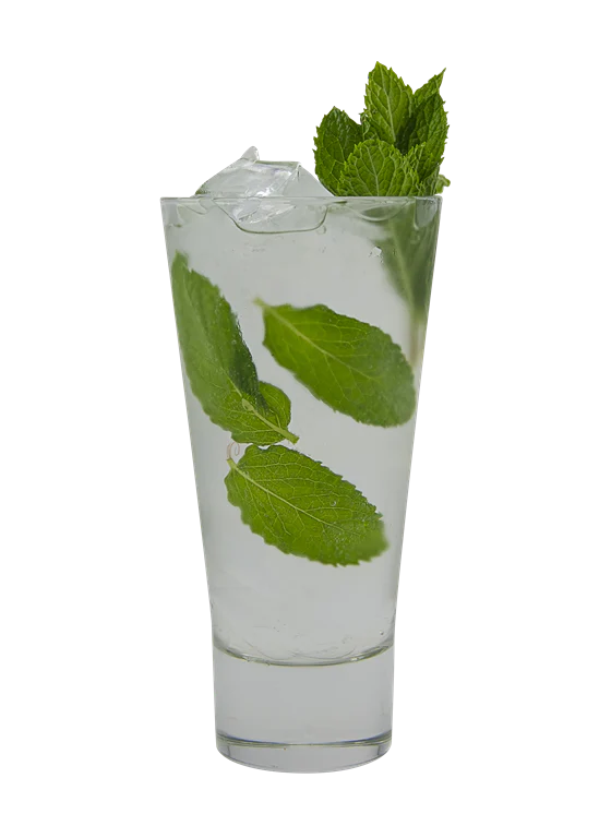 Zero Vanilla & Mint Cream Soda